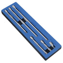 Jeu de 6 rallonges pour douilles droites à entraînement 3/8" 38 mm - 300 mm