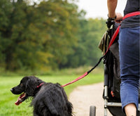 Petite laisse rouge multifonction tout-en-un pour chien avec amortisseur mains libres