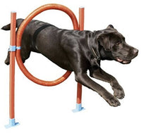 Easy Assemble Dog Pet Agility Hoop With 6 Height Positions Fun Exercise.