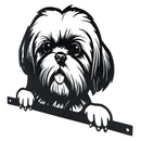 Black Metal Peeking Shih Tzu Silhouette with Fixing Plate Garden Ornament Gift