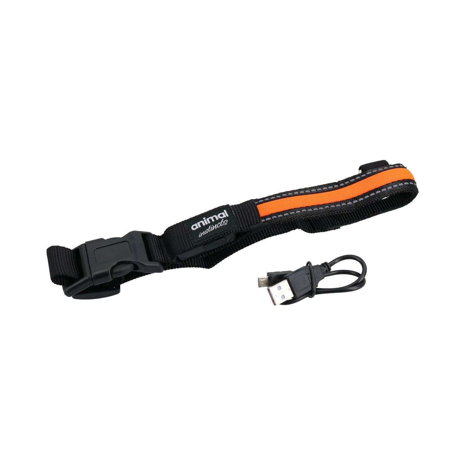 Orange Small Dog Walk Hi-Visibility Rechargeable Flashing Safety Collar 35-40cm