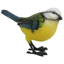 Blue Tit Garden Sculpture Ornament Statue Resin Decoration Animal Bird