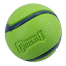 2PK Medium Durable High Bounce Rubber Scent Fetch Ball Duo Ball Dog Ball Gift