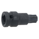 Douille mâle courte à impact Torx/étoile T60 x 53 mm, entraînement 1/2"