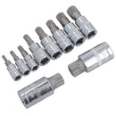 Dreifachvierkant-Spline- und manipulationssichere Stecknüsse 1/4 Zoll, 3/8 Zoll und 1/2 Zoll Dr. 10 Stück AT303