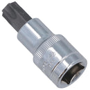 T55 Torx-Bit-Stern-Steckschlüsseleinsatz, 1/2 Zoll Antrieb, Standard-Innenteil, Chrom-Vanadium-Stahl