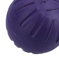 Large Interactive Play Durafoam Dog Puppy Ball Floating Toy-Assorted Colour